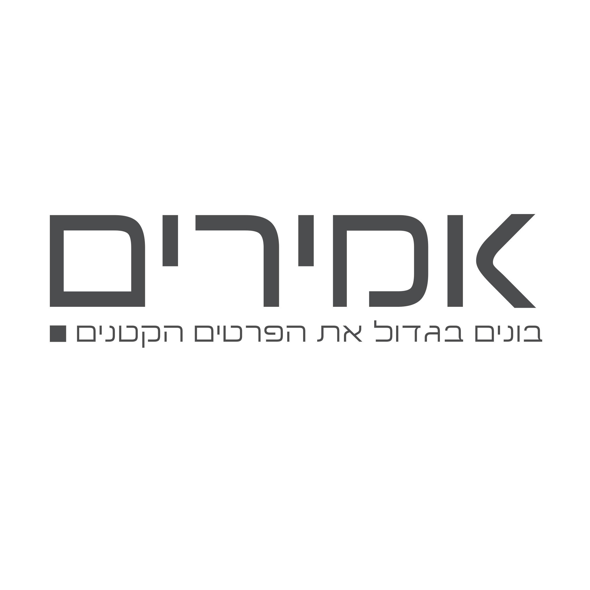 לוגו חברת אמירם